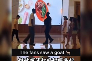 武汉三镇B队vs贵州贵阳竞技低调看直播视频封面